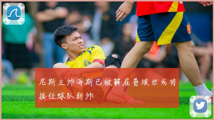 尼斯主帅海斯已被解雇普埃尔或将接任球队新帅
