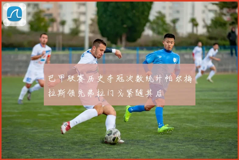 巴甲联赛历史夺冠次数统计帕尔梅拉斯领先弗拉门戈紧随其后