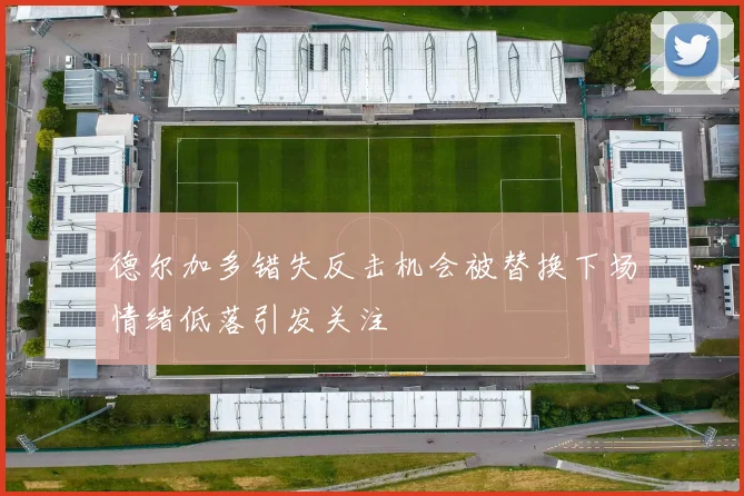 德尔加多错失反击机会被替换下场情绪低落引发关注