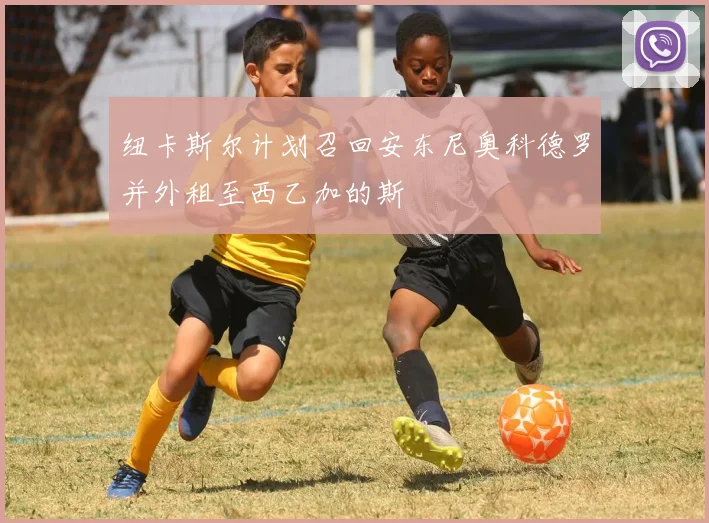 纽卡斯尔计划召回安东尼奥科德罗并外租至西乙加的斯